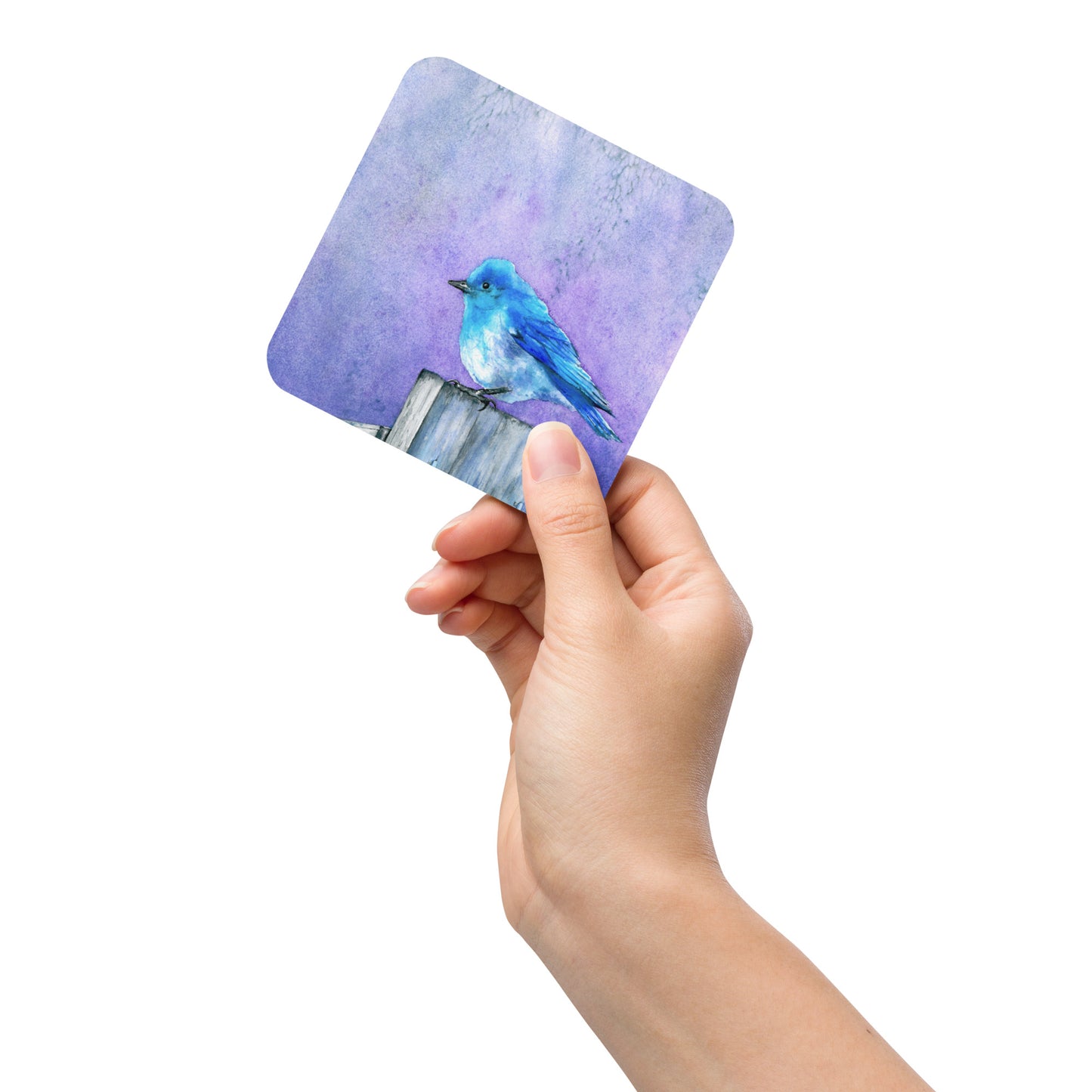 Bluebird Bliss Coaster Set