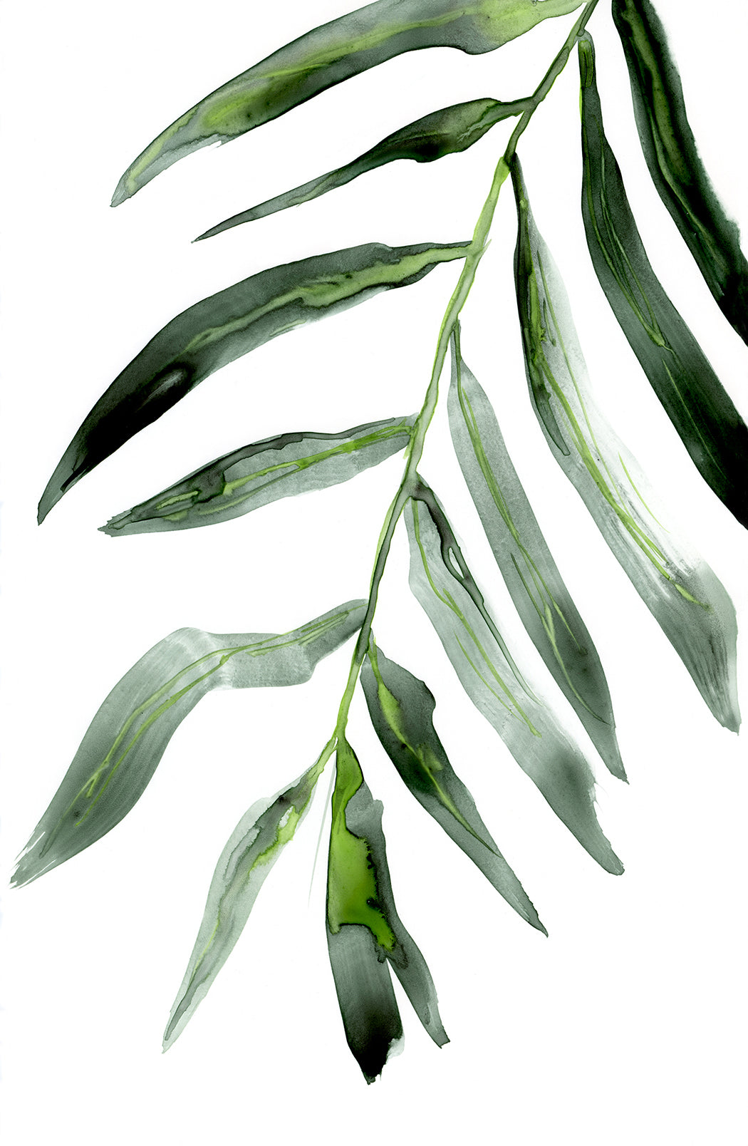 Palm Frond Watercolor Painting - Botanical Nature Art Print Brazen Design Studio Dark Sea Green