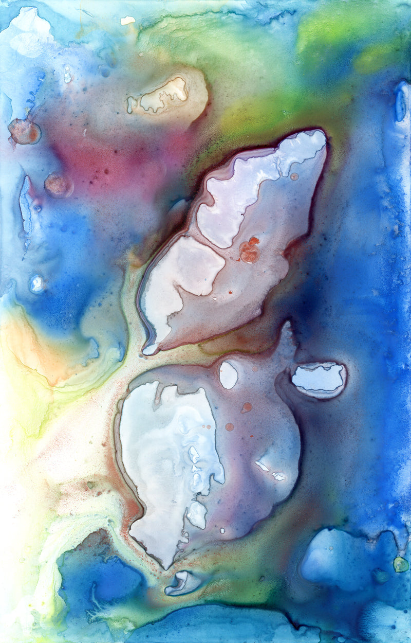 Seashells Art Print - Ocean Life Seascape - Watercolor Painting Brazen Design Studio Dark Gray