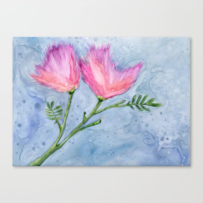 Albizia Silk Floral Watercolor Painting - Pink Mimosa Persian Tree Art Print Brazen Design Studio Light Steel Blue