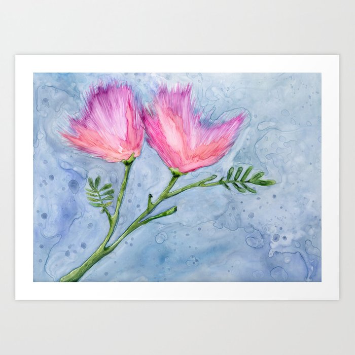 Albizia Silk Floral Watercolor Painting - Pink Mimosa Persian Tree Art Print Brazen Design Studio Light Steel Blue