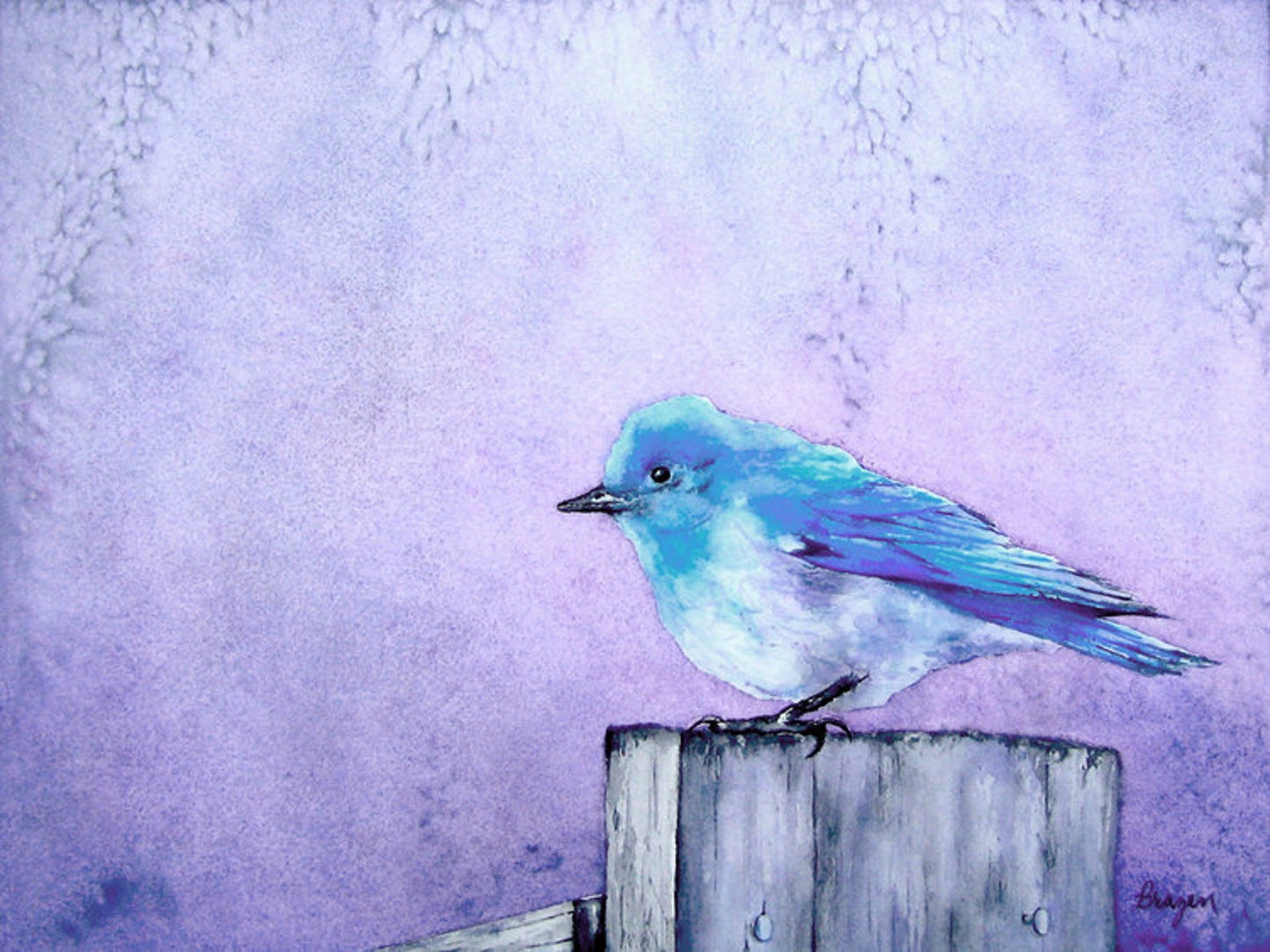 Bluebird Bliss - Art Print