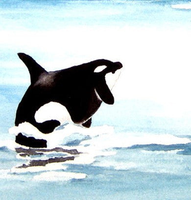 Watercolor Painting - Orca Art Print - Killer Whale Wildlife Seascape Brazen Design Studio Mint Cream