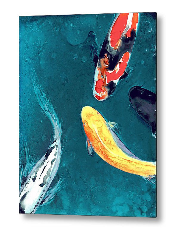 Koi Fish Birchwood or Metal Art Print - Home Decor Brazen Design Studio Dark Slate Gray