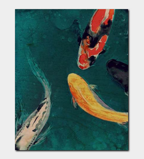 Koi Fish Birchwood or Metal Art Print - Home Decor Brazen Design Studio Dark Slate Gray