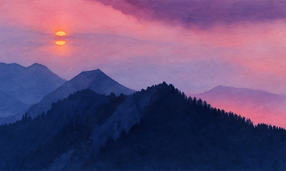 Catch the Sun - Art Print