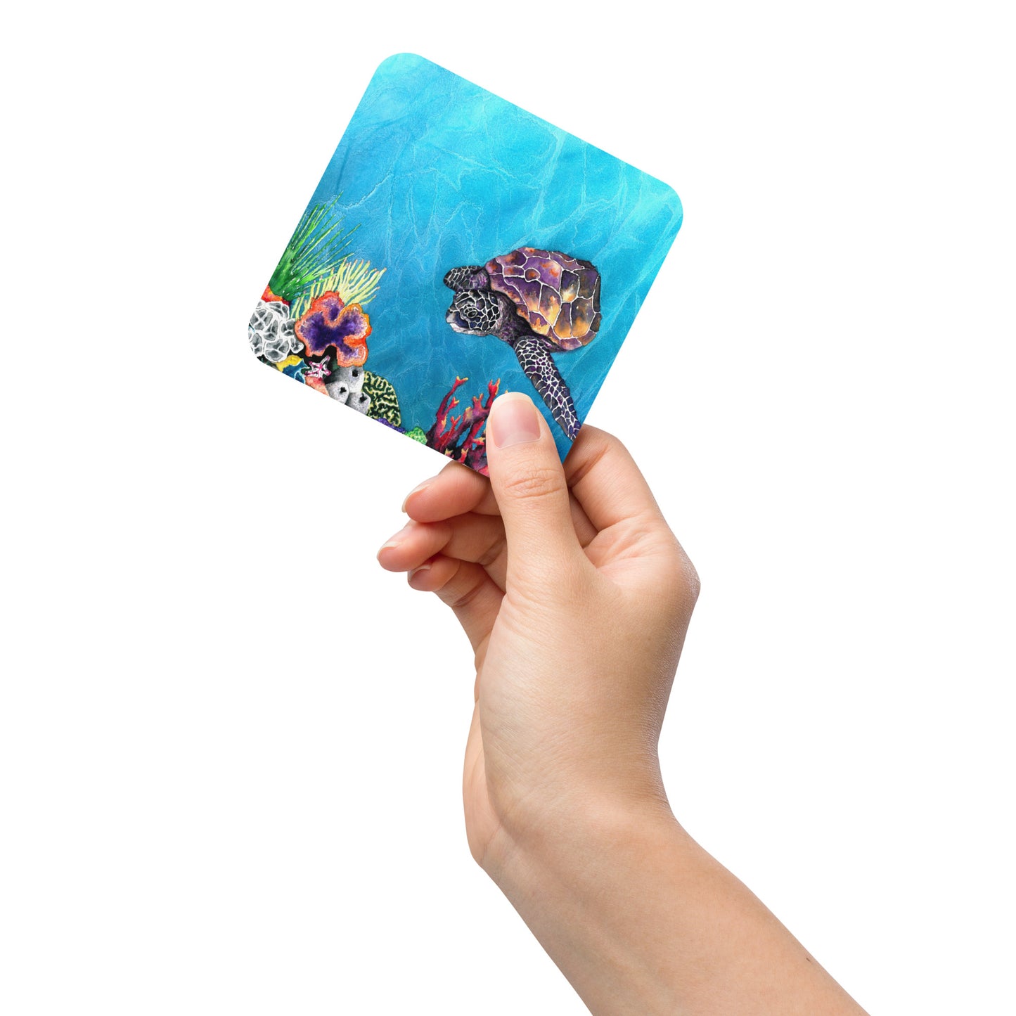 Sea Turtle Coaster Set