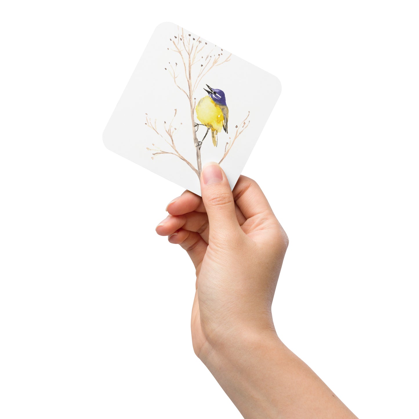 Yellow Wagtail Coaster Set