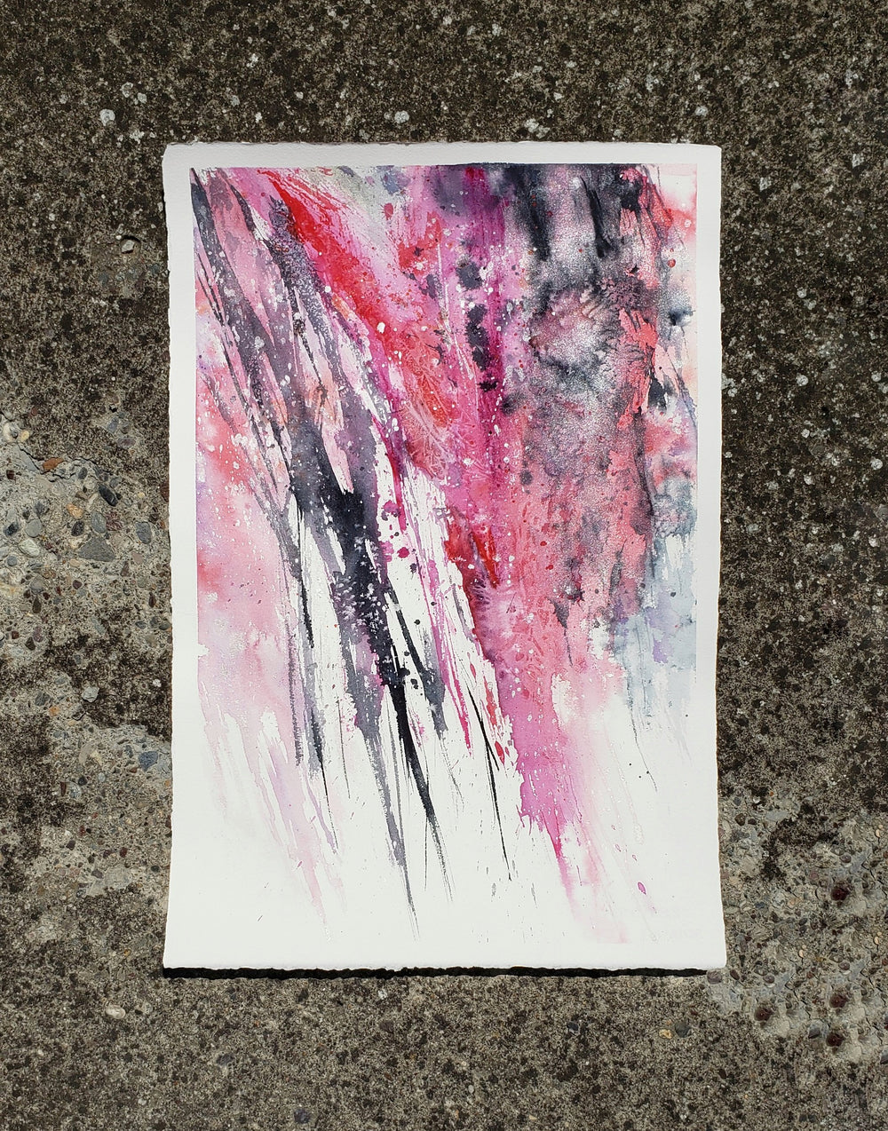 Wisteria Brazen Design Studio Pale Violet Red