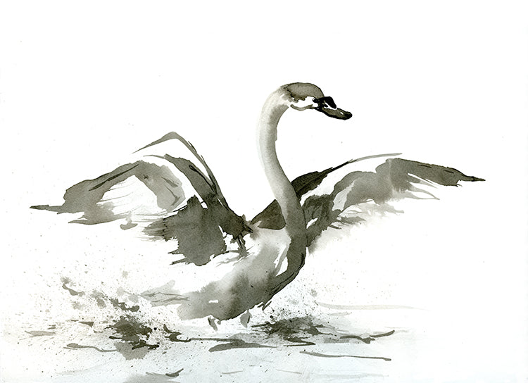 Ink Painting - Swan - Cygnet Sumi-e - Mimimalist Art Print Brazen Design Studio Dark Olive Green