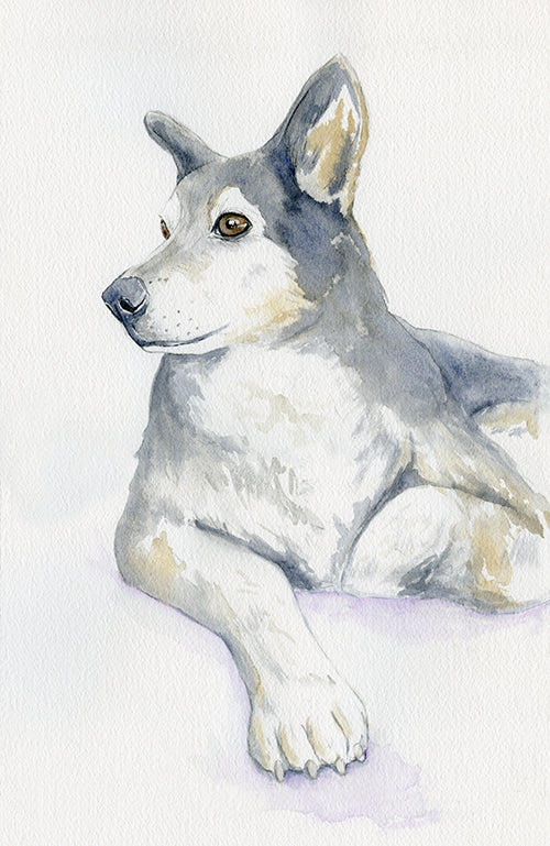 Custom Pet Portrait - Original Watercolour - Commissioned Painting