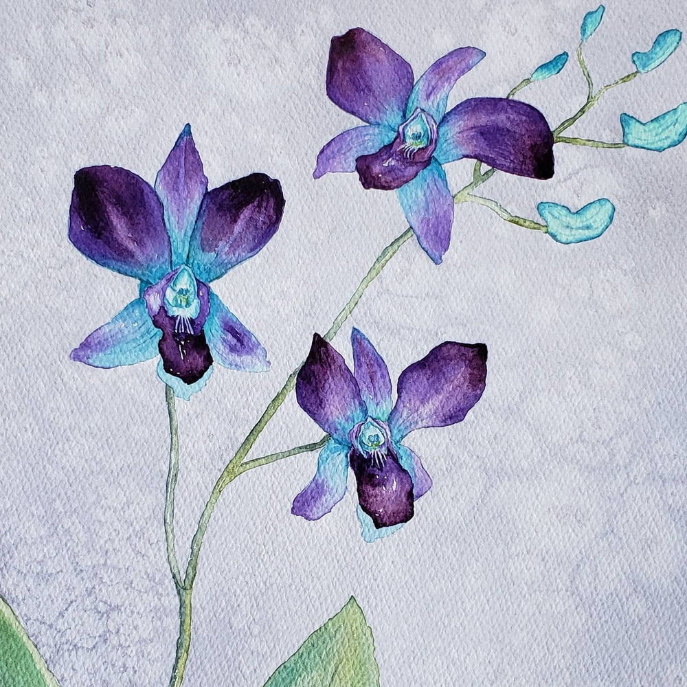 Elegance - Orchid Watercolor Painting Brazen Edwards Light Slate Gray