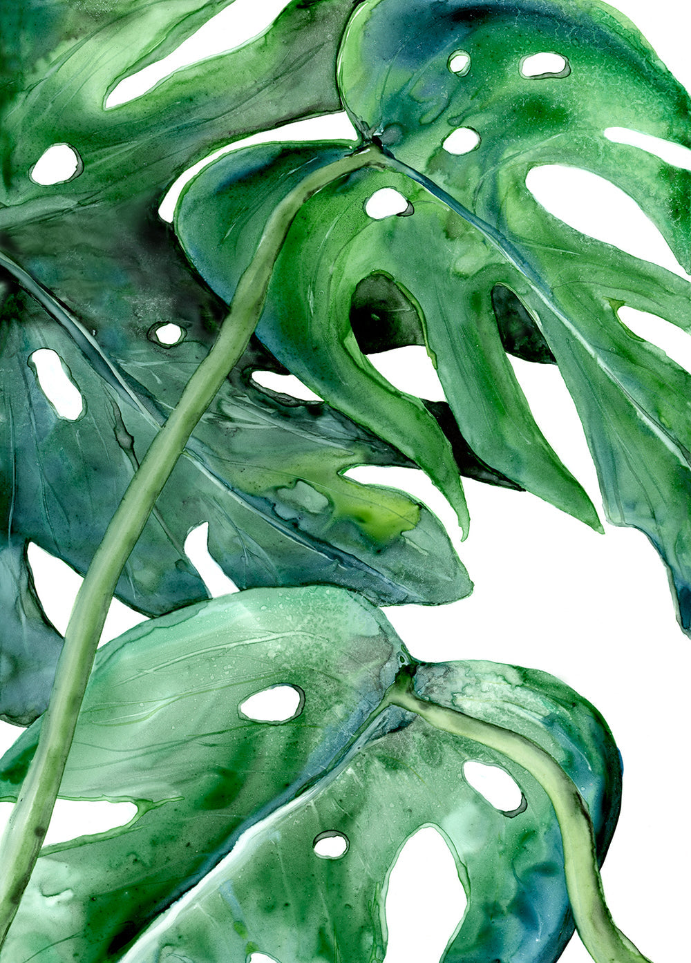 Monstera Philodendron Watercolor Painting - Botanical Nature Art Print Brazen Design Studio Sea Green