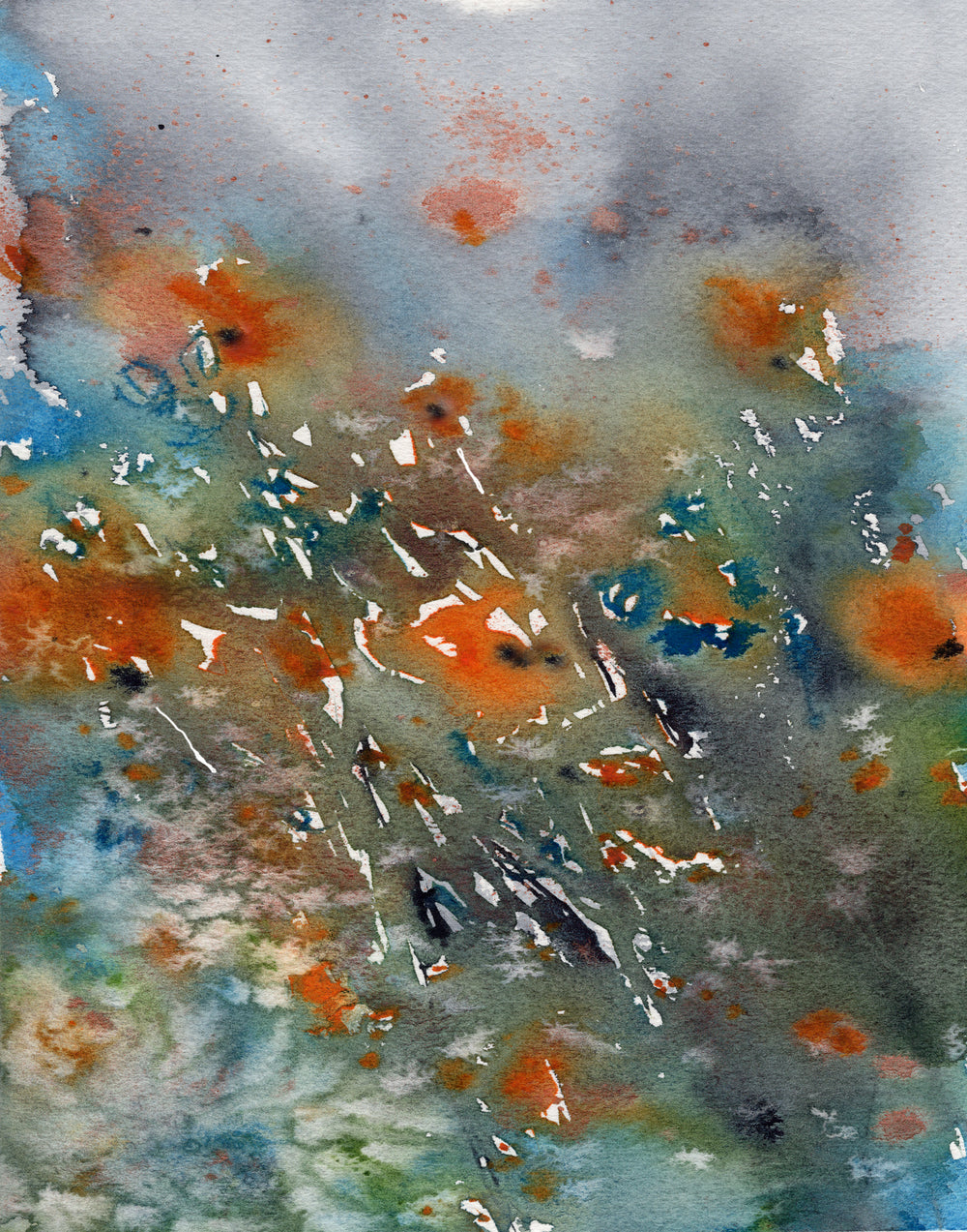 Orange Poppies - Art Print Wildflowers - Floral Watercolor Painting Brazen Design Studio Dim Gray