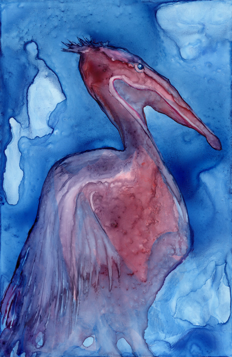 Pelican - Art Print
