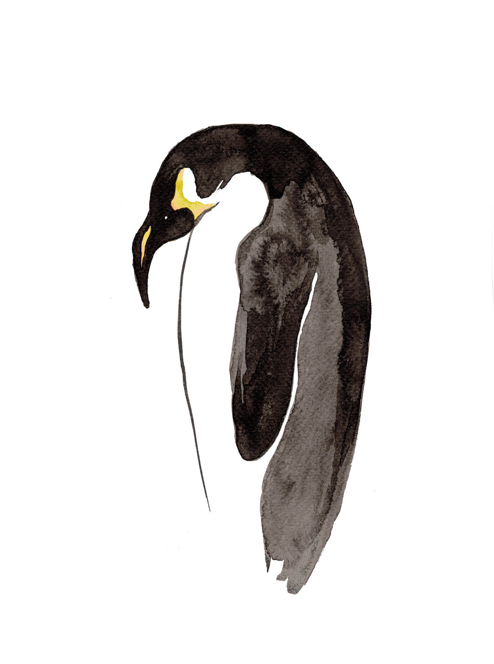 Empire Penguin Sumi-e Japanese Brush Painting Art Print Brazen Design Studio Black