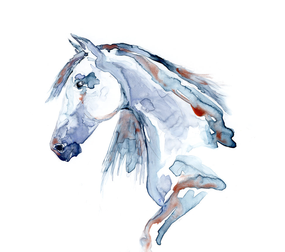 Wild at Heart Equine Watercolor Painting - White Horse Nature - Fine Art Print Brazen Design Studio Light Steel Blue