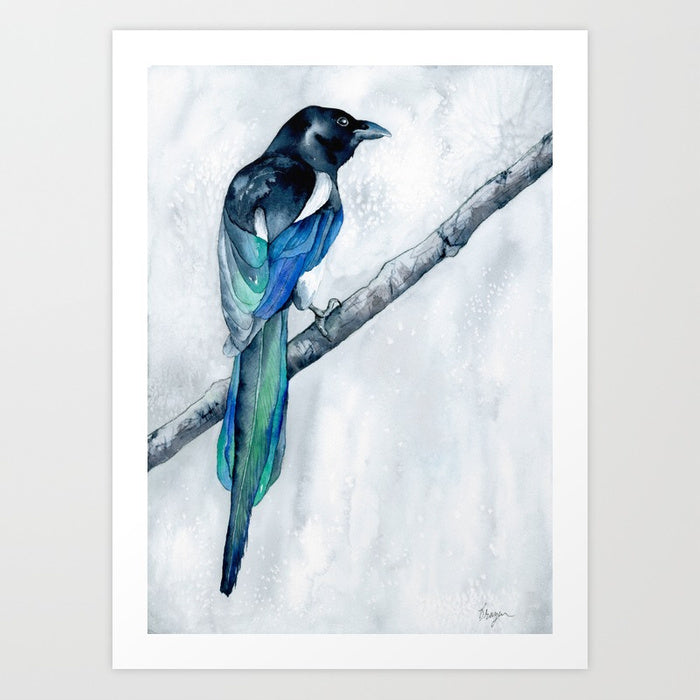 Watercolor Painting - The Collector - Magpie Wildlife Art Print Brazen Design Studio Steel Blue