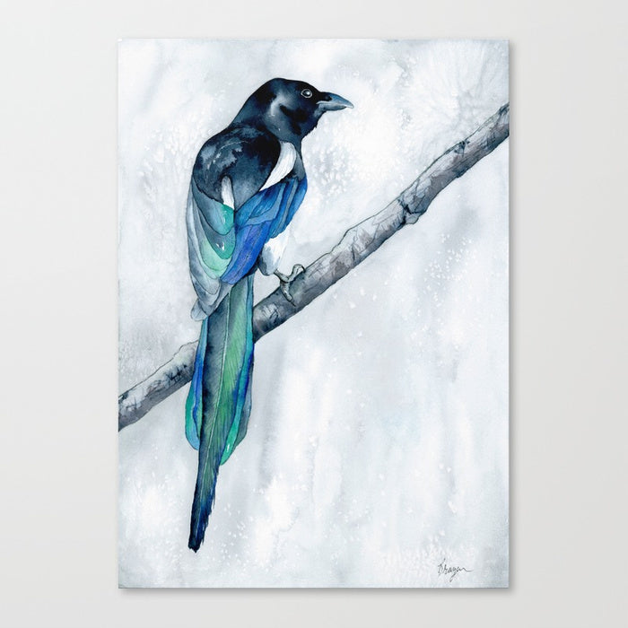 Watercolor Painting - The Collector - Magpie Wildlife Art Print Brazen Design Studio Steel Blue