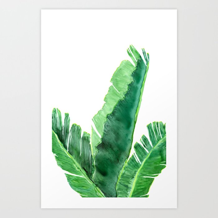 Banana Tree Tropical Plant Watercolor Painting - Botanical Nature Art Print Brazen Design Studio Sea Green