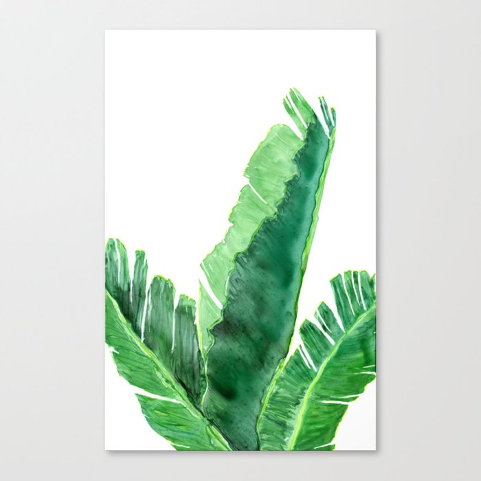 Banana Tree Tropical Plant Watercolor Painting - Botanical Nature Art Print Brazen Design Studio Sea Green