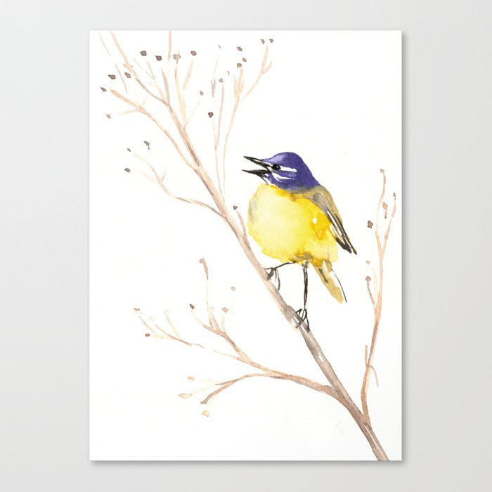 Yellow Wagtail Watercolor Painting - Song Bird Wildlife Art Print Brazen Design Studio Snow