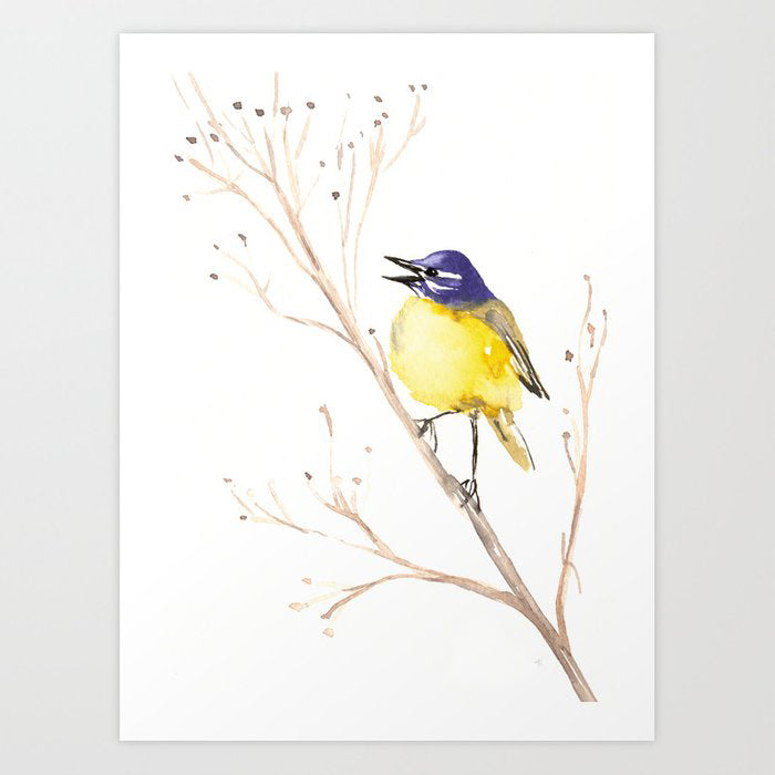 Yellow Wagtail Watercolor Painting - Song Bird Wildlife Art Print Brazen Design Studio Snow