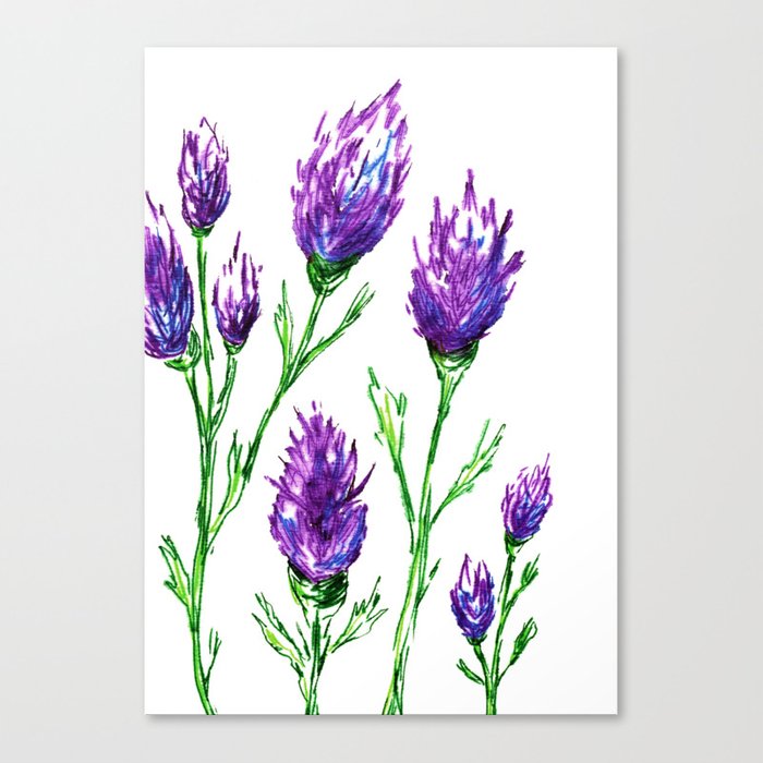 Clover Floral Watercolor Painting - Botanical Art Print Brazen Design Studio Mint Cream