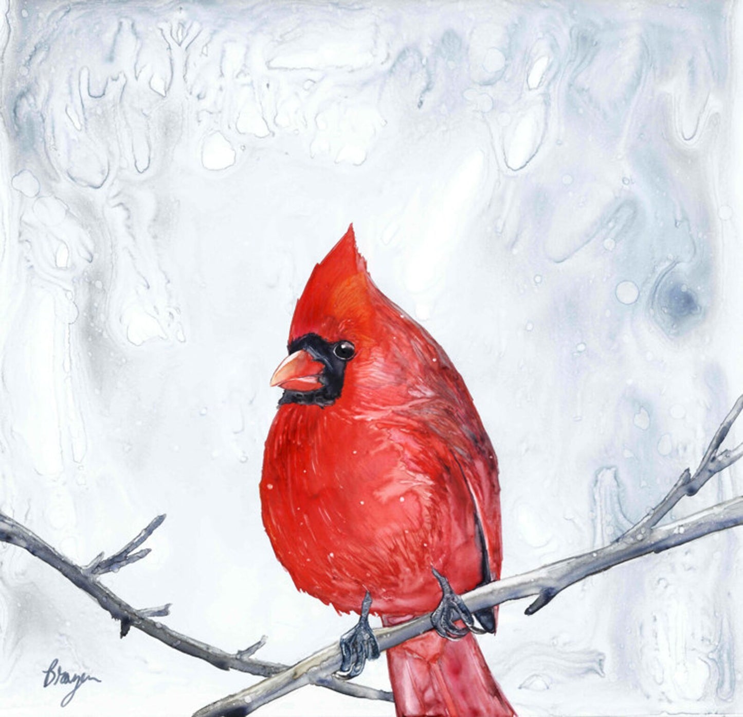 Cardinal - Waiting for Spring