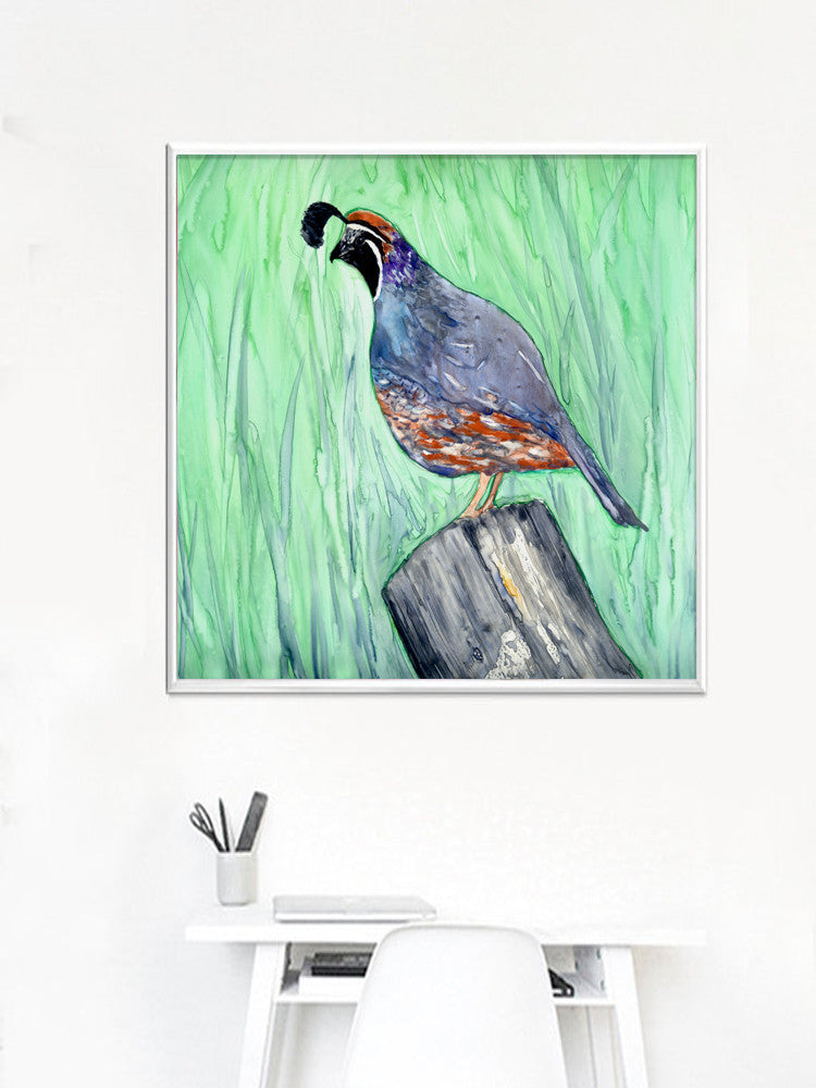 Watercolor Painting - California Quail - Valley Bird Art Print Brazen Design Studio Light Green