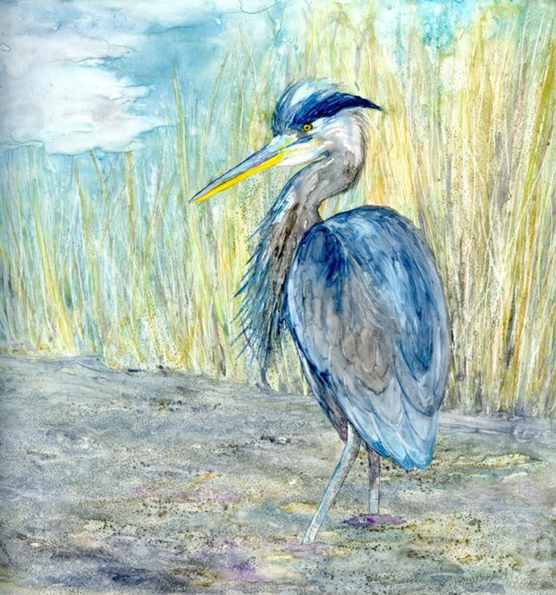 Great Blue Heron Watercolor Painting - Bird Wildlife Art Print Brazen Design Studio Slate Gray