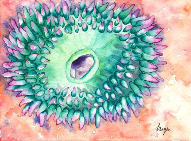 Sea Anenome - Ocean Wildlife - Watercolor Painting Art Print Brazen Design Studio Cadet Blue