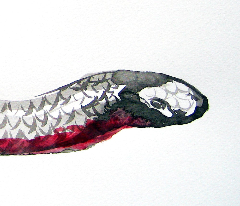 Year of the Snake Painting - Red Bellied Black Snake - Modern Minimalist Sumi-e Japanese Ink Print Brazen Design Studio Dark Slate Gray