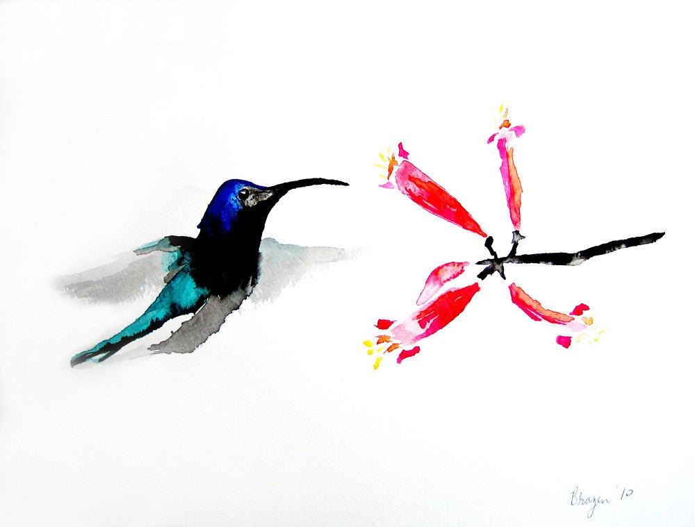 Watercolor Painting - Hummingbird Honeysuckle Bird Art Floral Sumi-e Art Print Brazen Design Studio Red