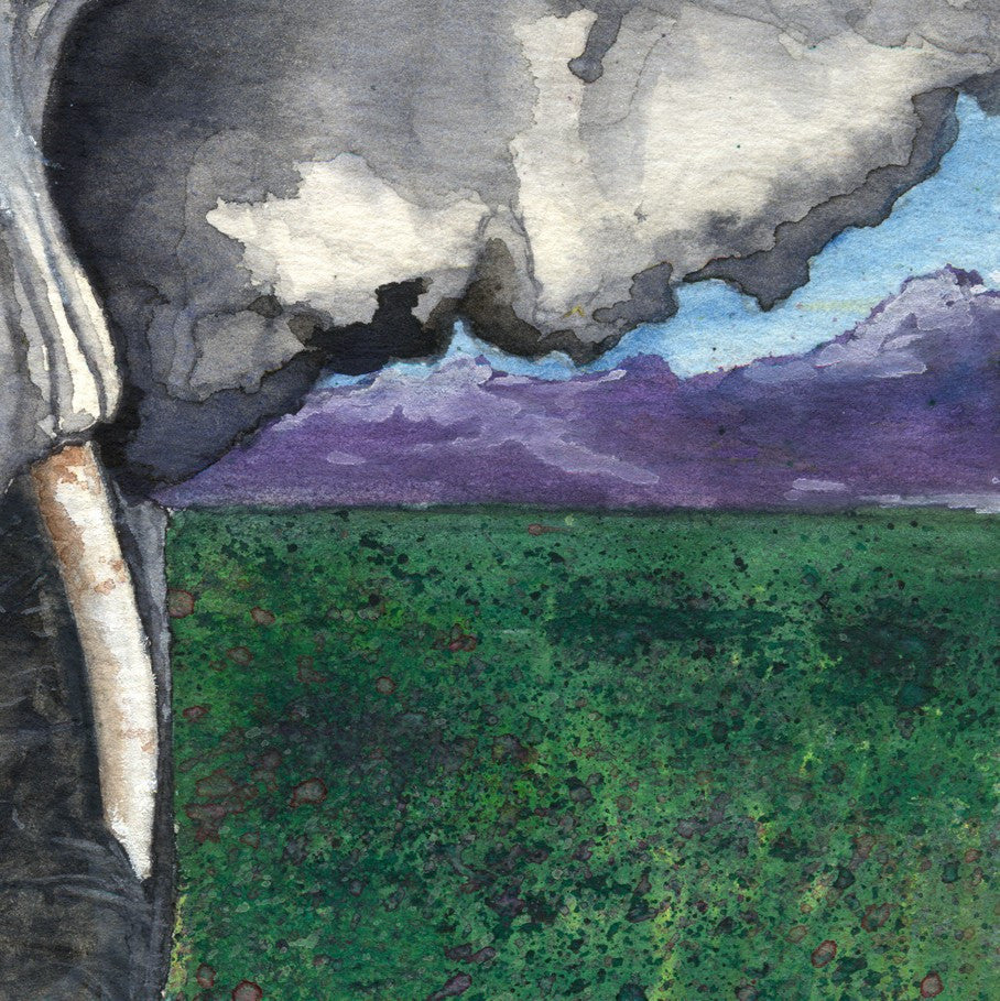 Watercolor Painting - Elephant - Nature Wildlife Fine Art Print Brazen Design Studio Dark Slate Blue