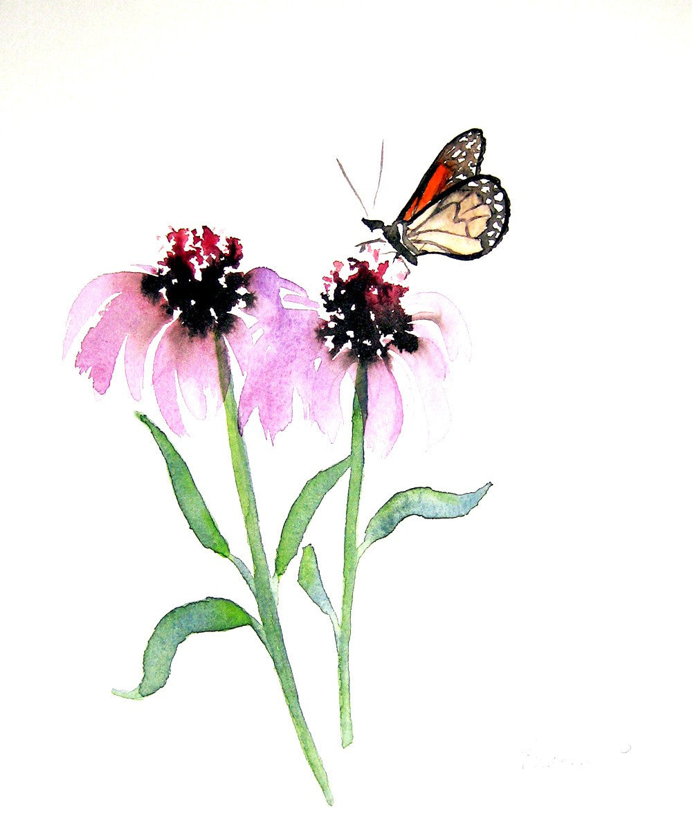Monarch Butterfly with Echinacea Watercolour and Sumi-e - Art Card Brazen Design Studio Plum