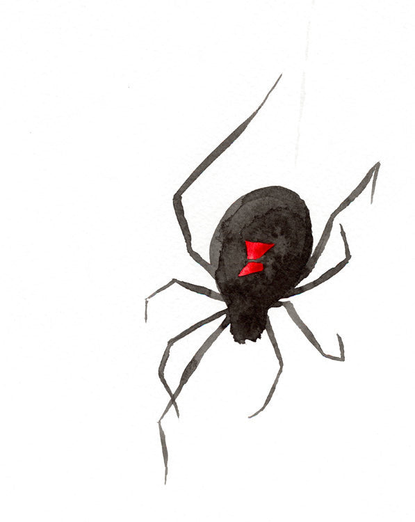 Ink Painting Art Print - Black Widow Spider Minimalist Sumi-e Print Brazen Design Studio Dark Slate Gray