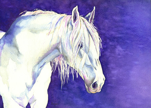 Equine Watercolor Painting - White Horse Nature - Fine Art Print Brazen Design Studio Dark Slate Blue