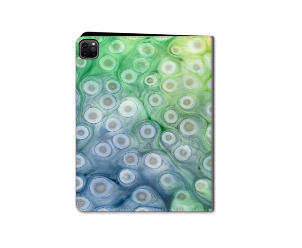 Rivulet Frozen Lake iPad Folio Case