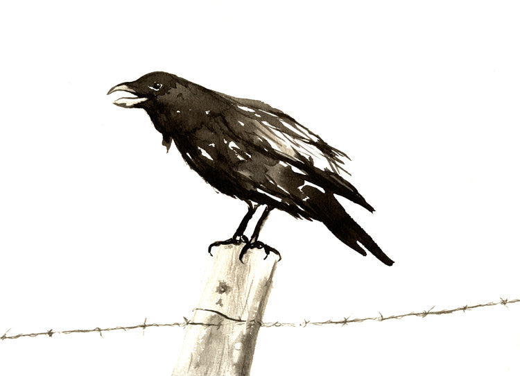 Japanese Ink Painting - Raven on a Barbed Wire Fence - Black Bird Sumi-e Art Print Brazen Design Studio Black