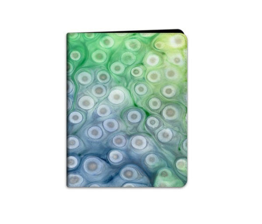 Rivulet Frozen Lake iPad Folio Case