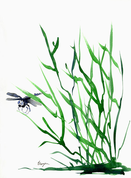 Watercolor Painting - Dragonfly Art - Minimalist Nature Sumi-e Art Print Brazen Design Studio Medium Sea Green