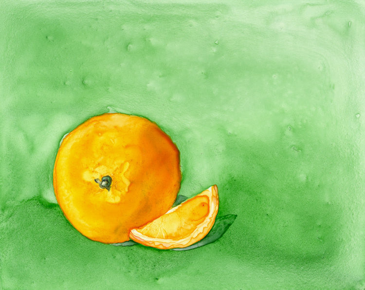 Still Life Watercolour Painting - Orange - Still Life Food - Kitchen Decor - Giclee Print Brazen Design Studio Dark Orange