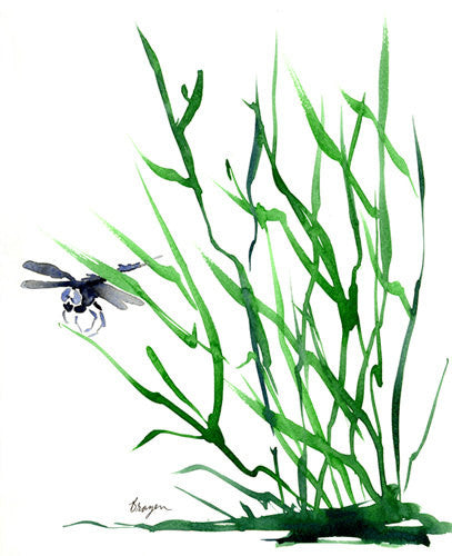 Dragonfly Sumi-e Art Card Brazen Design Studio Medium Sea Green