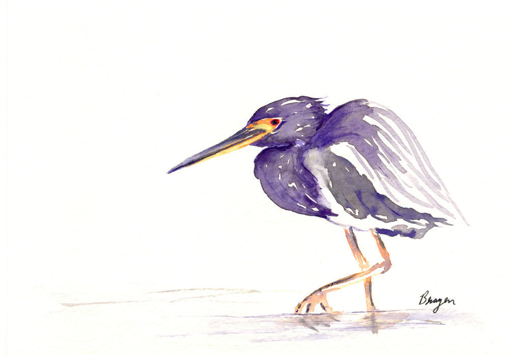 TriColoured Heron Watercolour Bird Painting Art Card Brazen Design Studio Light Slate Gray
