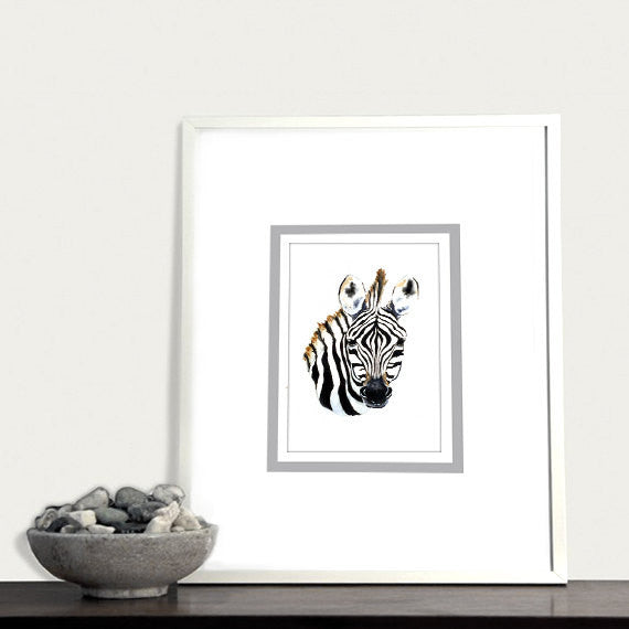 Watercolor Painting - Zebra Foal African Wildlife Art Print Brazen Design Studio Snow