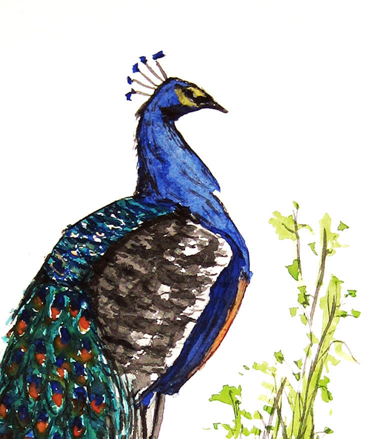 Watercolor Ink Painting - Peacock Bird Sumi-e - Japanese Brush Painting - Art Print Brazen Design Studio Dark Slate Blue