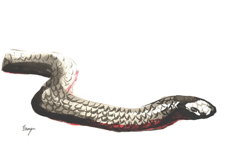Year of the Snake Painting - Red Bellied Black Snake - Modern Minimalist Sumi-e Japanese Ink Print Brazen Design Studio Rosy Brown