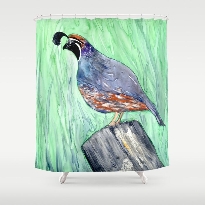 Shower Curtain Valley Quail Bird Painting - Artistic Bathroom - Colorful Modern Vibrant Bathroom Decor Brazen Design Studio Light Gray