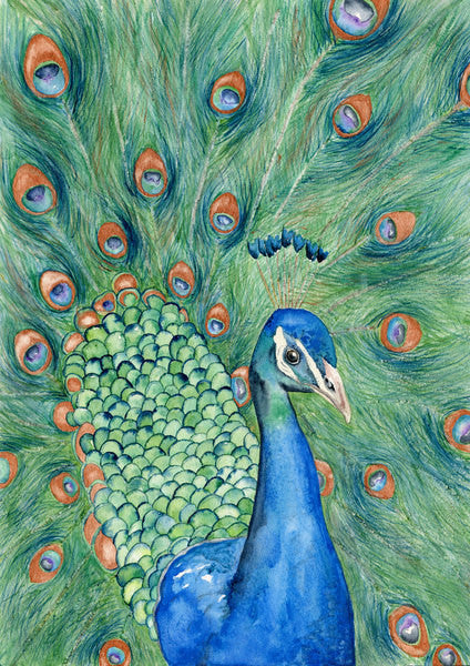 Watercolor Painting - Peacock Art - Wildlife Bird Art Print - Canvas or Paper Print Brazen Design Studio Dark Sea Green